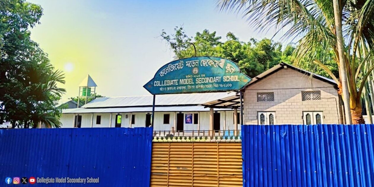 WhatsApp Image 2026-02-12 at 12.53.36 PM